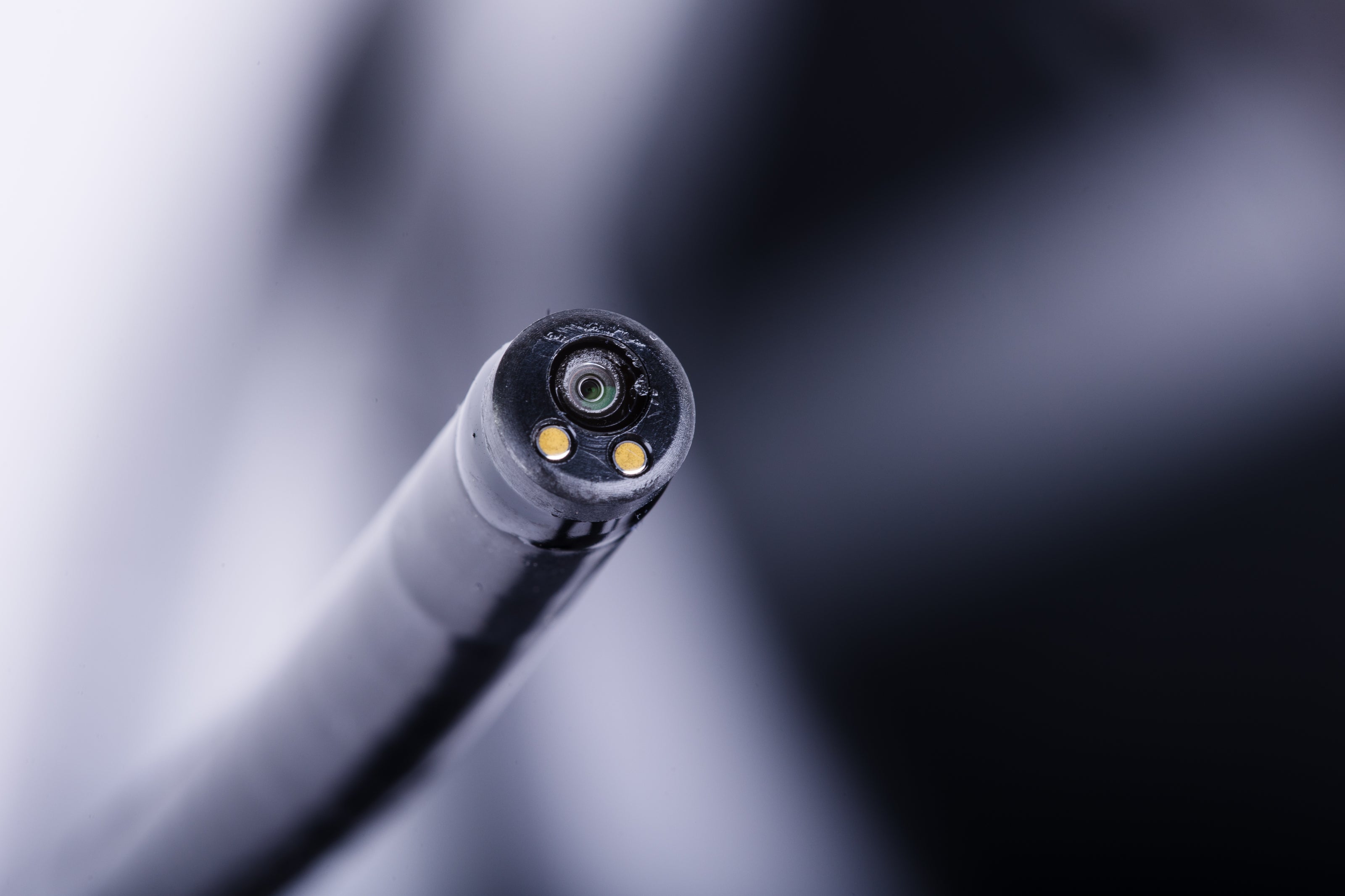 Endoscope VET Lite