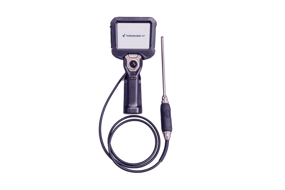 Endoscope vétérinaire VET Dental Scope